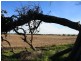 Sec 1189 Eckert Road, Finniss SA 5255