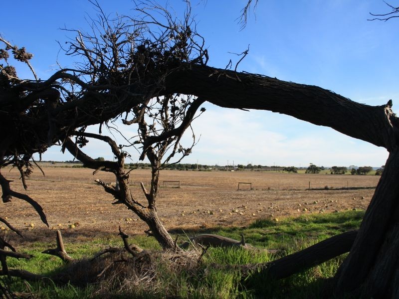 Sec 1189 Eckert Road, Finniss SA 5255