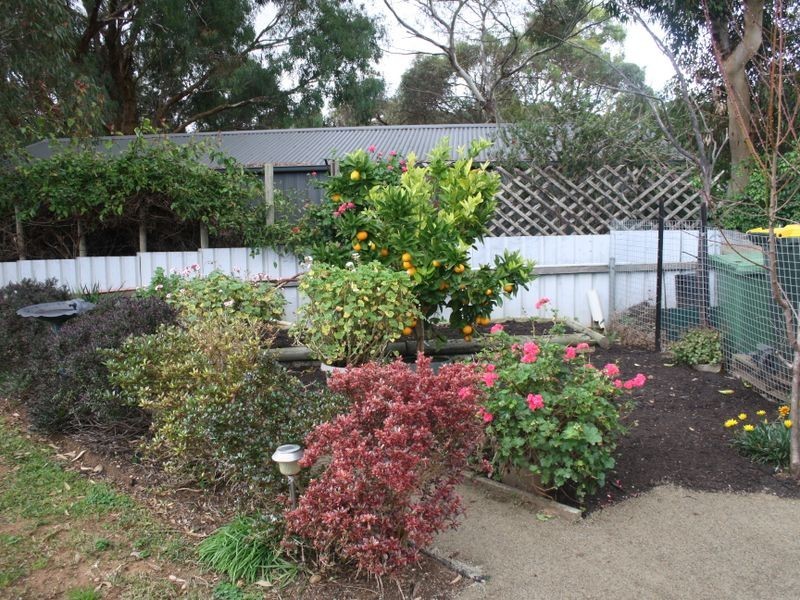 20 Dunbarton Court, Strathalbyn SA 5255