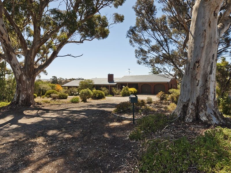 9 Avenue Road, Strathalbyn SA 5255