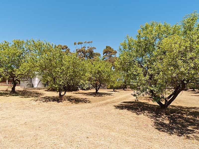 9 Avenue Road, Strathalbyn SA 5255