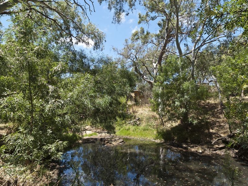 Lot 6 Maidment Road, Ashbourne SA 5157