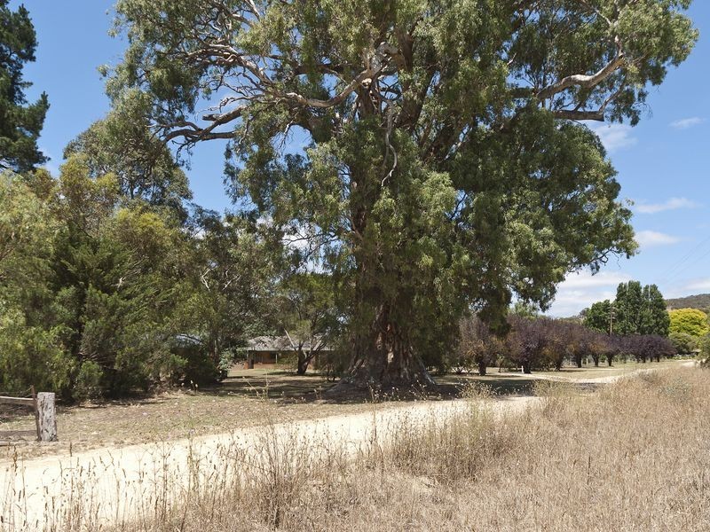 Lot 6 Maidment Road, Ashbourne SA 5157