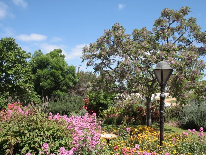 16 Murray Street, Strathalbyn SA 5255