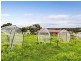 Lot 4 Toby Court, Strathalbyn SA 5255