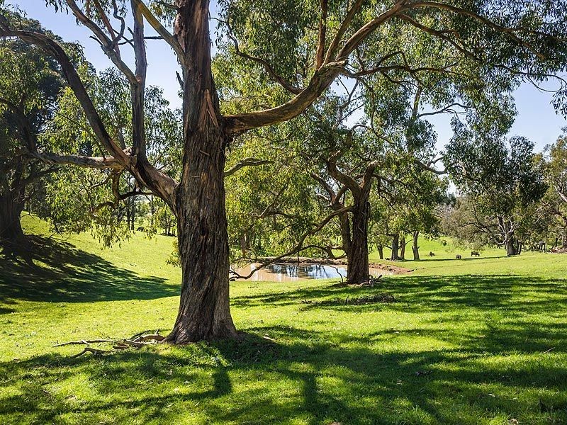 260 Whites Road, Flaxley SA 5153