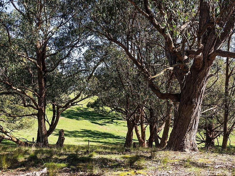 260 Whites Road, Flaxley SA 5153