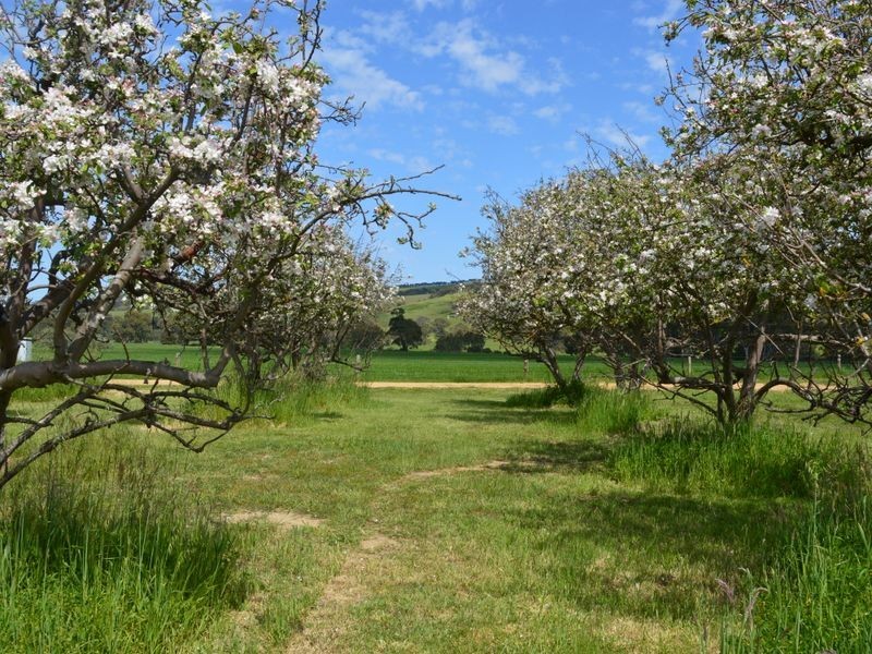 Lots 33&34 Christina Street, Ashbourne SA 5157