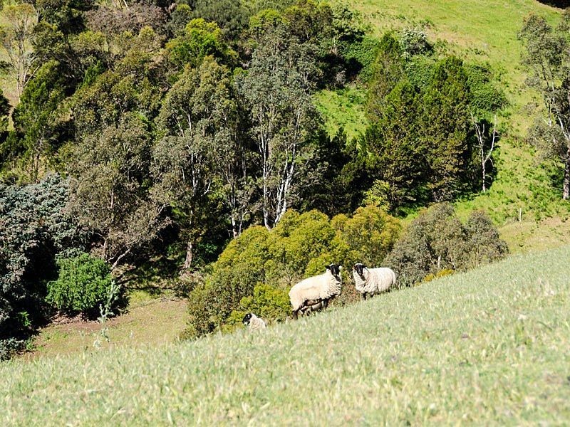 807 Bull Creek Road, Bull Creek SA 5157