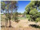 163 Lines Road, Strathalbyn SA 5255