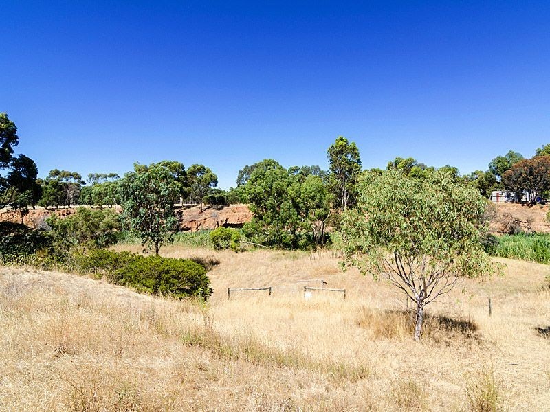 163 Lines Road, Strathalbyn SA 5255