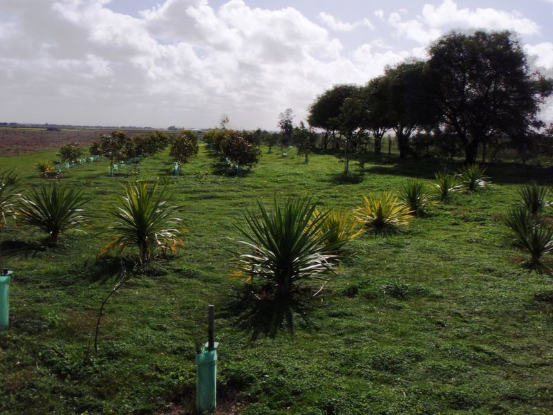 Lot 4 Mill Road, Milang SA 5256