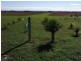 Lot 4 Mill Road, Milang SA 5256