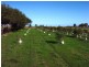 Lot 4 Mill Road, Milang SA 5256
