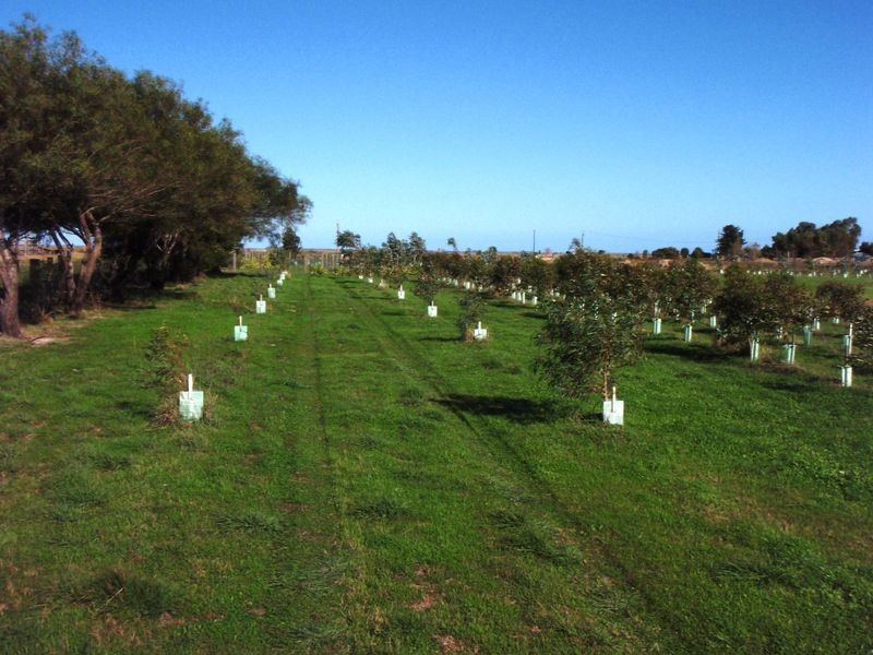 Lot 4 Mill Road, Milang SA 5256