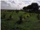 Lot 4 Mill Road, Milang SA 5256