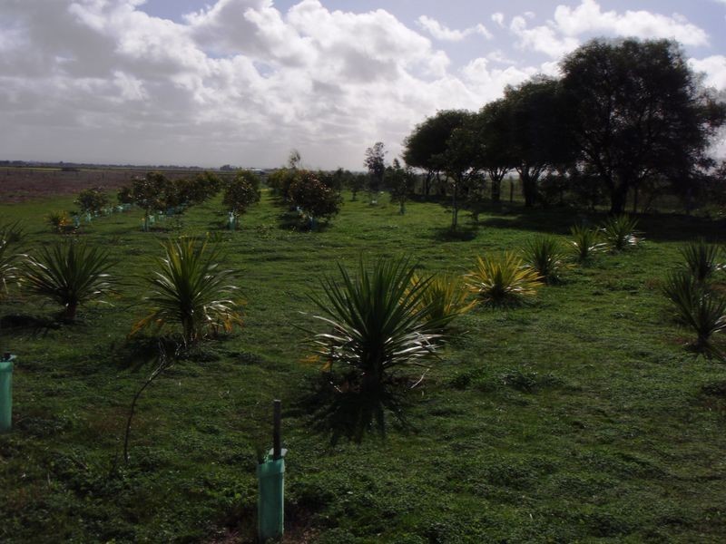 Lot 4 Mill Road, Milang SA 5256
