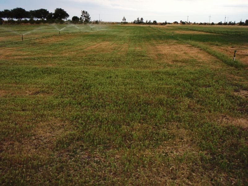 Lot 4 Mill Road, Milang SA 5256