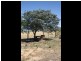 Lot 4 Mill Road, Milang SA 5256