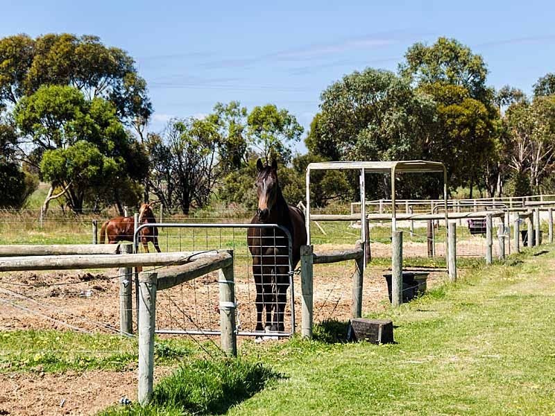 742 Finniss Clayton Road, Finniss SA 5255