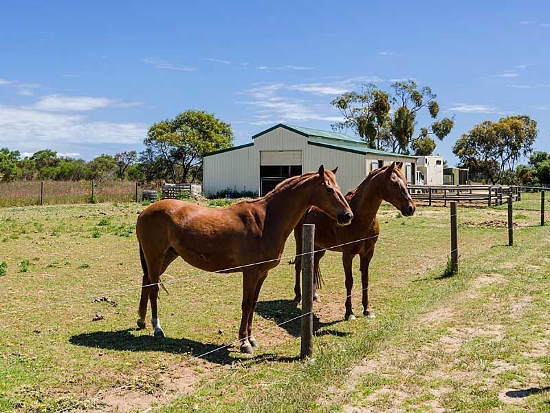 742 Finniss Clayton Road, Finniss SA 5255