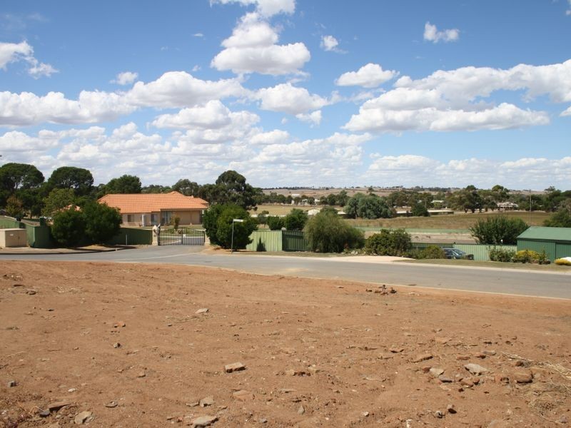 2 Carruthers Court, Strathalbyn SA 5255