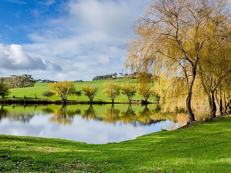 65 Oakley Road, Meadows SA 5201