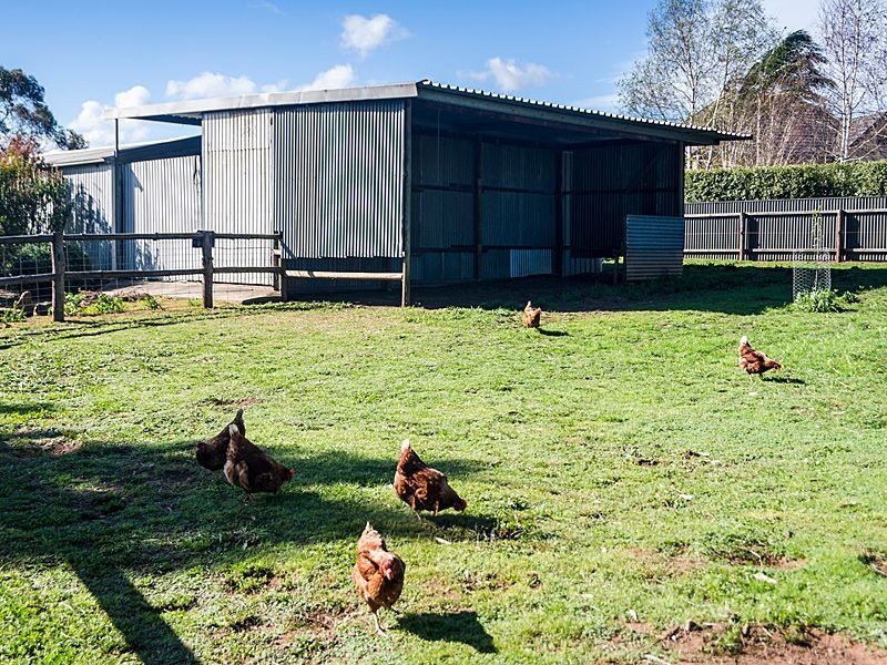 27 Adelaide Road, Strathalbyn SA 5255