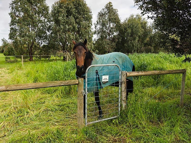 59 Finniss Clayton Road, Finniss SA 5255