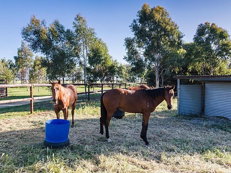 59 Finniss Clayton Road, Finniss SA 5255