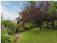 196 Ti Tree Road, Prospect Hill SA 5201