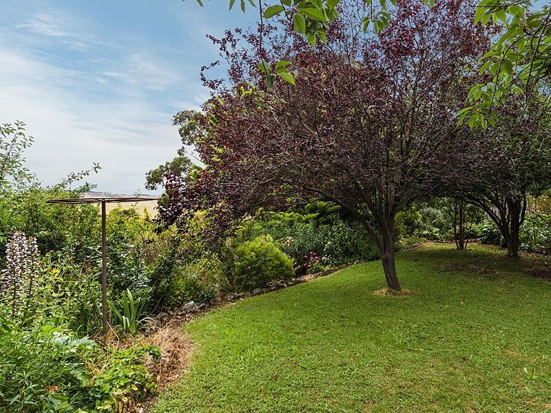 196 Ti Tree Road, Prospect Hill SA 5201