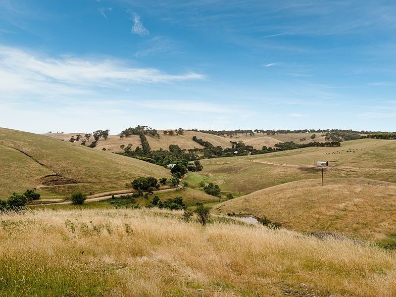 196 Ti Tree Road, Prospect Hill SA 5201