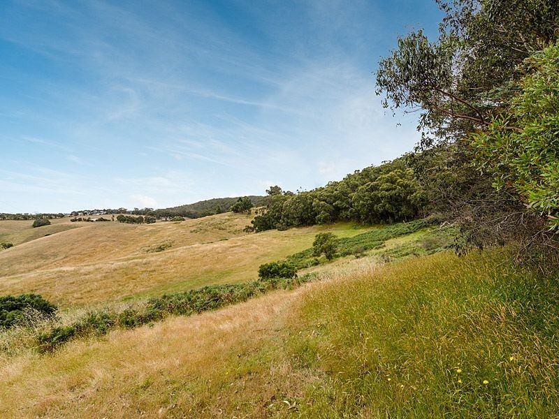 196 Ti Tree Road, Prospect Hill SA 5201