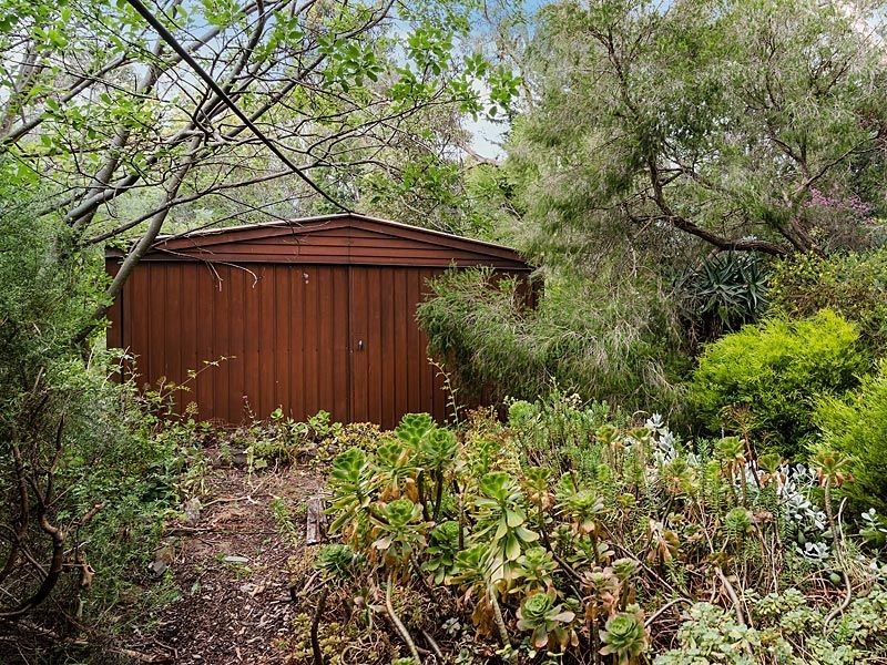 196 Ti Tree Road, Prospect Hill SA 5201