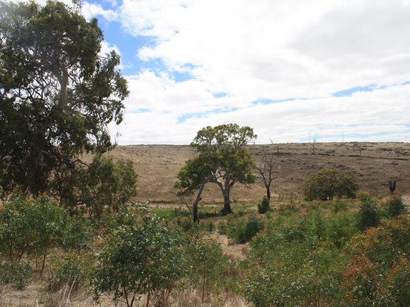 474 Ashbourne Road, Strathalbyn SA 5255