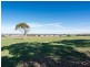 560 – Lot Alexandrina Road, Strathalbyn SA 5255