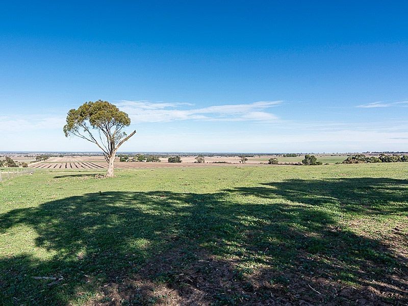 560 – Lot Alexandrina Road, Strathalbyn SA 5255
