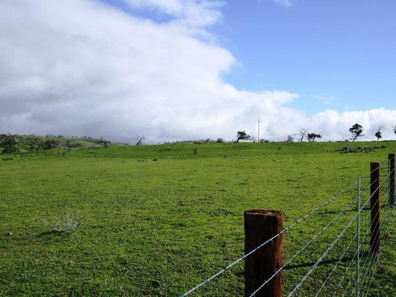 Lot 200 Alexandrina Road, Strathalbyn SA 5255