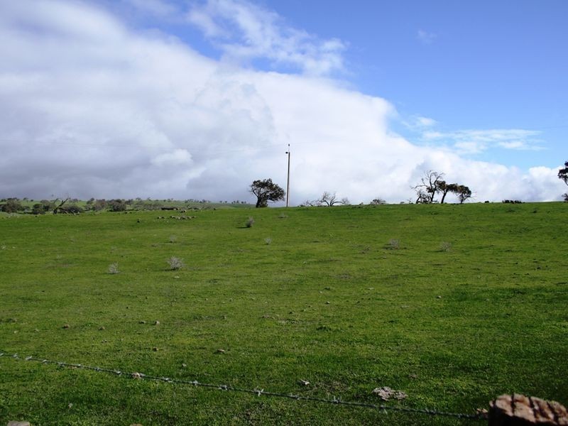 Lot 200 Alexandrina Road, Strathalbyn SA 5255