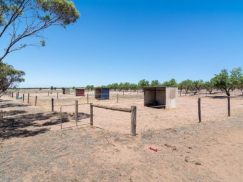 379 Burnside Road, Woodchester SA 5255