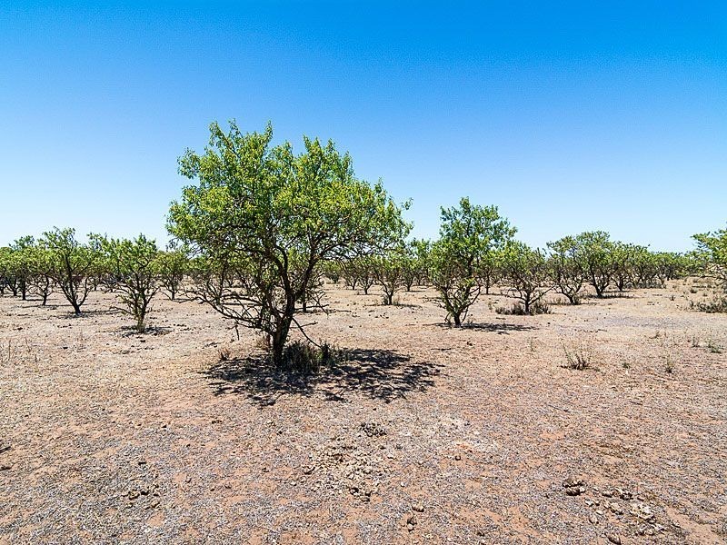 379 Burnside Road, Woodchester SA 5255