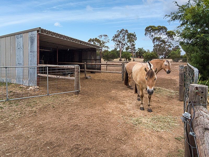 33 Avenue Road, Strathalbyn SA 5255
