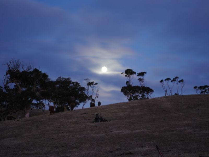 93 Phillips Hill Road, Paris Creek SA 5201