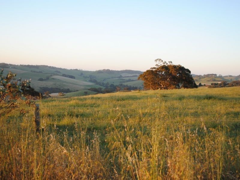 93 Phillips Hill Road, Paris Creek SA 5201