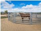 117 Trainers Way, Strathalbyn SA 5255