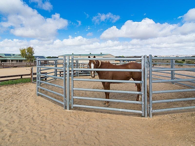 117 Trainers Way, Strathalbyn SA 5255