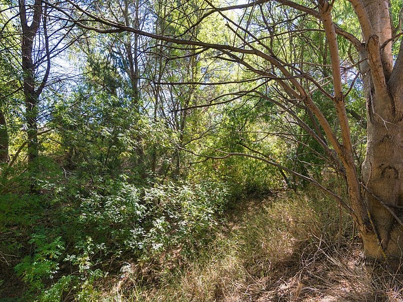 27 Albyn Terrace, Strathalbyn SA 5255