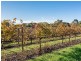 1 Scott Road, Langhorne Creek SA 5255