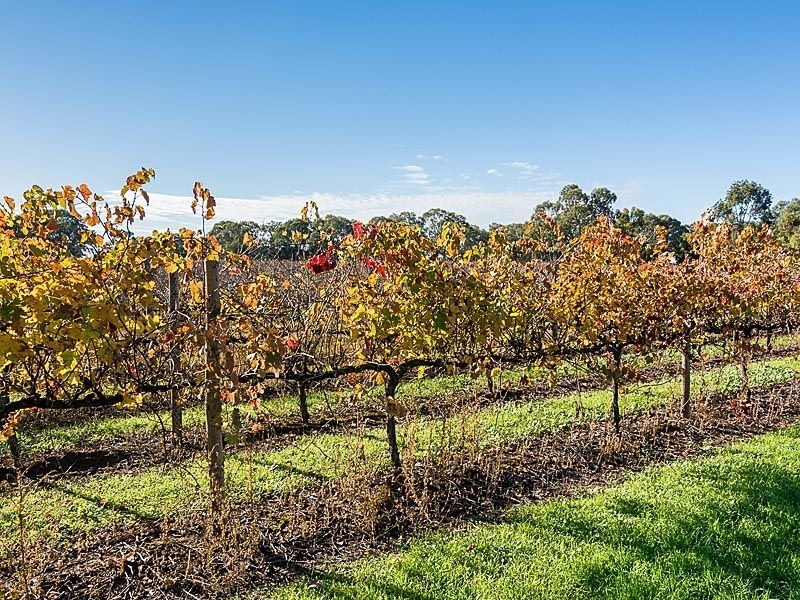 1 Scott Road, Langhorne Creek SA 5255